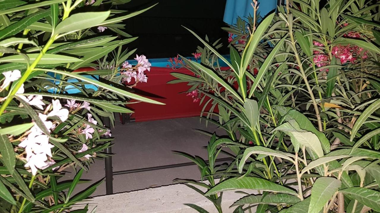 Apartments Star With Pool บีโอกราดนาโมรู ภายนอก รูปภาพ